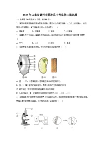 2023年山东省德州市夏津县中考生物二模试卷（含解析）