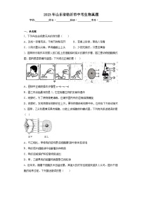 2023年山东省临沂市中考生物真题（含答案）