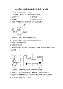 2023年山东省聊城市莘县中考生物三模试卷(含答案)