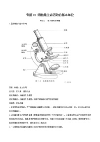 专题02 细胞是生命活动的基本单位（知识帮）-备战2023年中考生物一轮复习考点帮（全国通用）