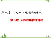初中生物人教版 (新课标)七年级下册第四单元 生物圈中的人第五章 人体内废物的排出图片ppt课件
