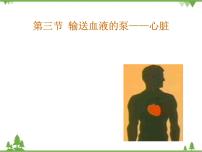 人教版 (新课标)七年级下册第三节 输送血液的泵──心脏课文内容课件ppt