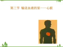 人教版 (新课标)七年级下册第三节 输送血液的泵──心脏课文内容课件ppt
