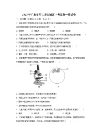 2023年广东省阳江市江城区中考生物一模试卷（含解析）