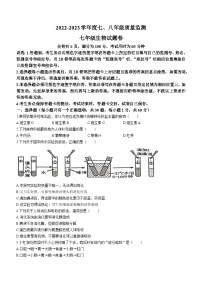 广东省揭阳市普宁市2022-2023学年七年级下学期期末生物试题（含答案）