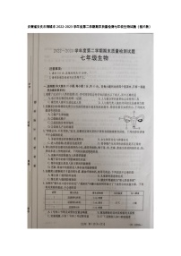 安徽省安庆市桐城市2022-2023学年七年级下学期期末质量检测生物试题+