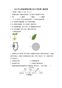 2023年山东省淄博市淄川区中考生物二模试卷（含解析）