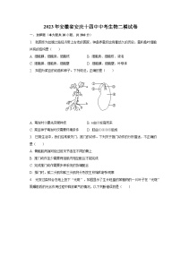 2023年安徽省安庆十四中中考生物二模试卷（含解析）