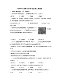 2023年广西南宁市中考生物三模试卷(含解析)