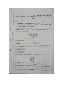 安徽省亳州市谯城区2022-2023学年七年级下学期期末生物试卷