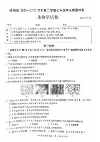 北京市通州区2022-2023学年七年级下学期期末考试生物试卷