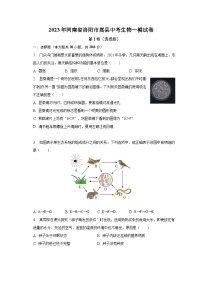 2023年河南省洛阳市嵩县中考生物一模试卷（含解析）