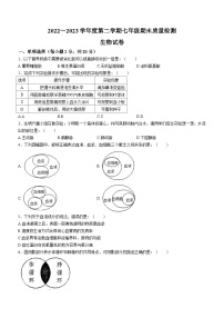 安徽省淮南市谢家集区等3地2022-2023学年七年级下学期期末生物试题（含答案）