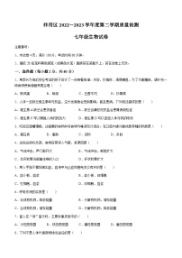 河南省开封市祥符区2022-2023学年七年级下学期期末生物试题（含答案）