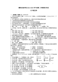 广东省汕头市潮阳实验学校2022-2023学年七年级下学期期末生物试题（含答案）