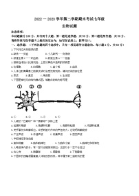 山东省德州市乐陵市2022-2023学年七年级下学期期末生物试题（含答案）