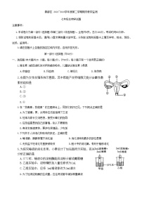 陕西省咸阳市秦都区2022-2023学年七年级下学期6月期末生物试题（含答案）