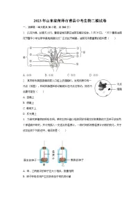 2023年山东省菏泽市曹县中考生物二模试卷（含解析）
