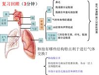 第10章 人体的能量供应（第2课时）-【期末通关】2022-2023学年七年级下学期生物考点精讲与要点归纳（北师大版）课件PPT