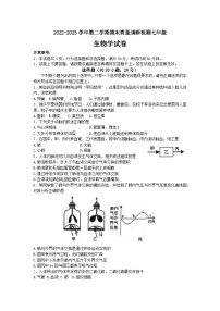 河南省洛阳市伊川县2022-2023学年七年级下学期期末生物试题（含答案）