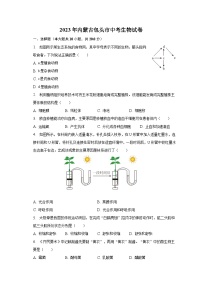 2023年内蒙古包头市中考生物试卷（含解析）