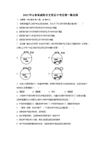 2023年山东省威海市文登区中考生物一模试卷（含解析）