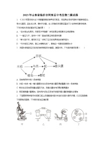 2023年山东省临沂市河东区中考生物二模试卷（含解析）