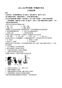 广东省茂名市电白区2022-2023学年七年级下学期期末生物试题（含答案）