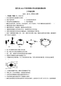 四川省达州市宣汉县2022-2023学年八年级下学期期末生物试题（含答案）