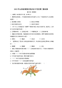 2023年山东省淄博市张店区中考生物二模试卷（含解析）