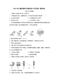 2023年云南省普洱市镇沅县中考生物一模试卷（含解析）