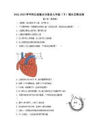 2022-2023学年河北省衡水市景县七年级（下）期末生物试卷（含解析）