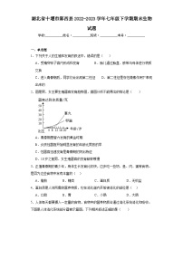 湖北省十堰市郧西县2022-2023学年七年级下学期期末生物试题（含答案）