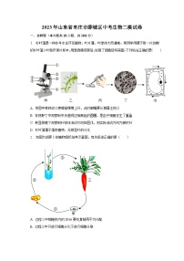 2023年山东省枣庄市薛城区中考生物二模试卷(含解析 )