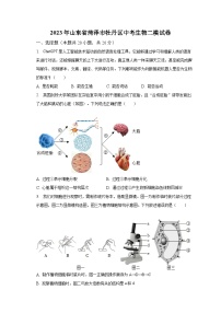 2023年山东省菏泽市牡丹区中考生物二模试卷（含解析）