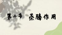 北师大版七年级上册第4节  蒸腾作用一等奖课件ppt