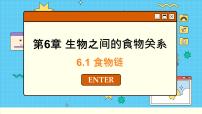 苏科版七年级上册第3单元 生物从环境中获取的物质和能量第6章 生物之间的食物关系第1节 	食物链优秀课件ppt