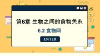 初中生物苏科版七年级上册第3单元 生物从环境中获取的物质和能量第6章 生物之间的食物关系第2节 	食物网精品ppt课件