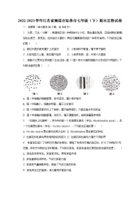 2022-2023学年江苏省南通市如皋市七年级（下）期末生物试卷（含解析）