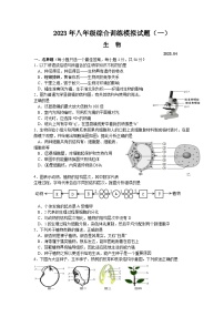 2023年山东省临沂市平邑县初中生物学业水平考试一模生物试题