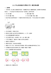 2023年山东省临沂市费县中考一模生物试题