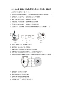 2023年山东省潍坊市临朐县等八县市中考生物一模试卷（含解析）