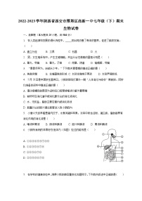 2022-2023学年陕西省西安市雁塔区高新一中七年级（下）期末生物试卷（含解析）