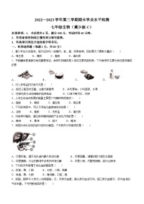 河北省承德市承德县2022-2023学年七年级下学期期末生物试题（含答案）