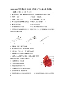 重庆市长寿区2022-2023学年七年级下学期期末生物试卷（含答案）