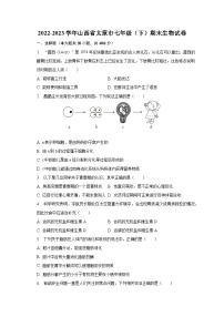 山西省太原市2022-2023学年七年级下学期期末生物试卷（含答案）