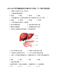 2022-2023学年福建省泉州市南安市七年级（下）期末生物试卷（含解析）