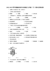 2022-2023学年福建省泉州市泉港区七年级（下）期末生物试卷（含解析）