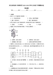 河北省张家口市桥西区2022-2023学年七年级下学期期末生物试题（含答案）