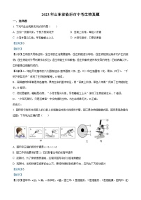 2023年山东省临沂市中考生物真题（含解析）